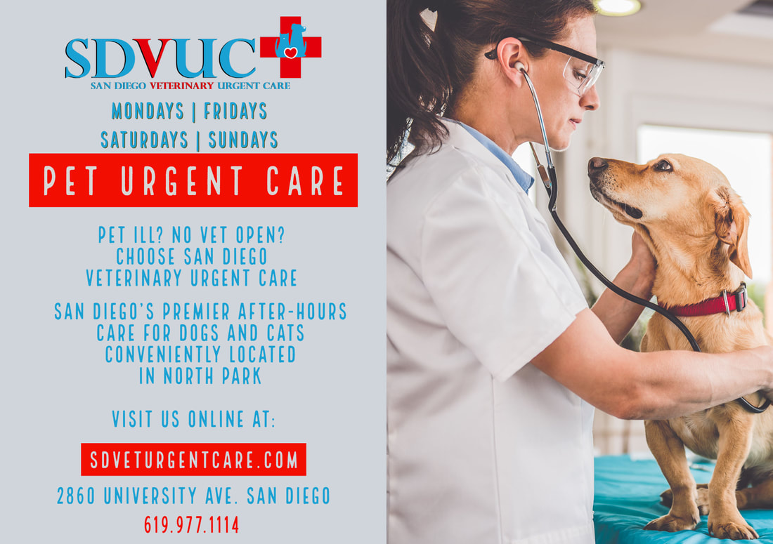 San Diego Pet Emergency Vet Clinic & Veterinarian Service | emergency pet  hospital near me